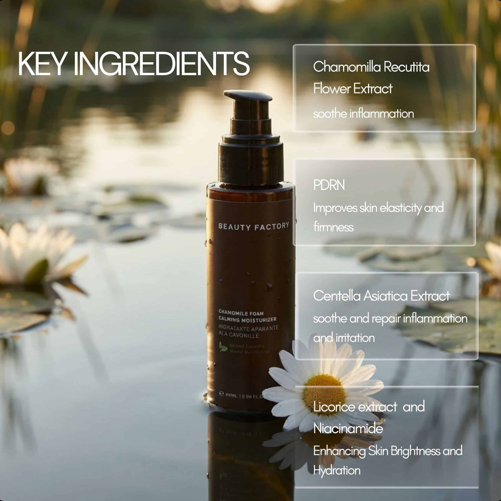 Beauty Factory Chamomile PDRN Calming Moisturizer