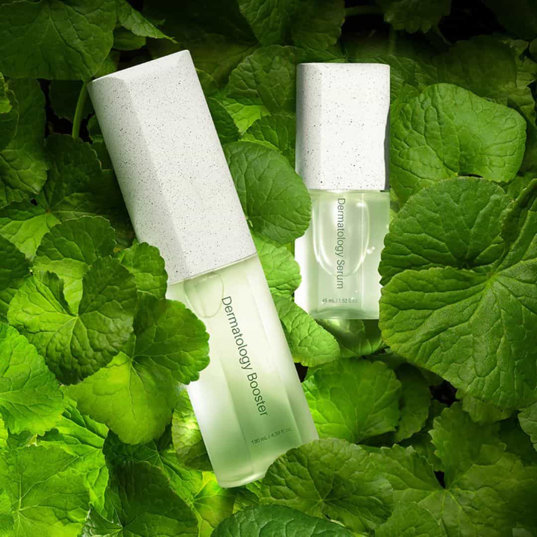 Incellderm Dermatology First Package