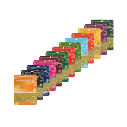 Ja Yeon Mapping Natural Essence Mask Bundle - Miessential